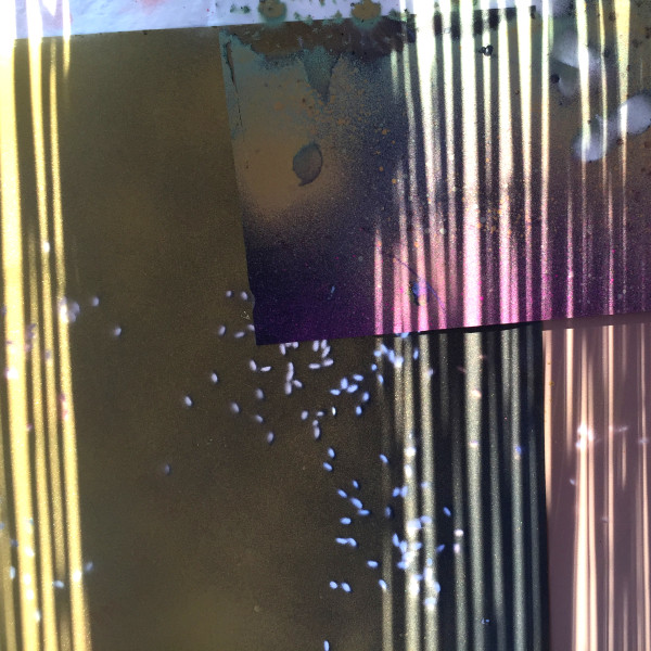Okładka albumu Likewaves EP