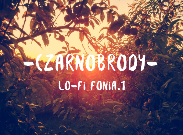 Okładka albumu lo-fi fonia.1
