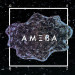 Okładka albumu Ameba