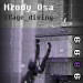 Młody Osa - Stage Diving