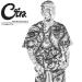 Cira - Niewidzialny Celebryta