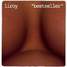Liroy - Bestseller