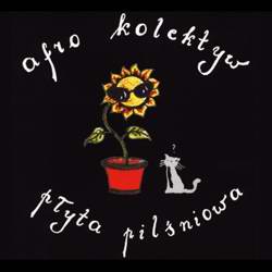 Okładka albumu Płyta Pilśniowa